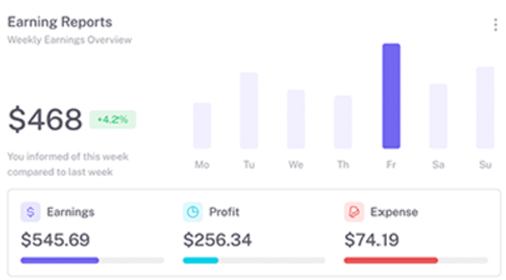 Earning report example